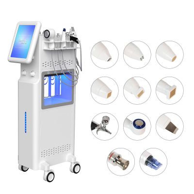 Multi-functional 11 in 1 Hydradermabrasion RF Beauty Equipment SPA M39