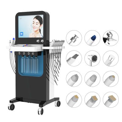 Multi-functional 13 in 1 Hydradermabrasion RF Beauty Equipment SPA M27