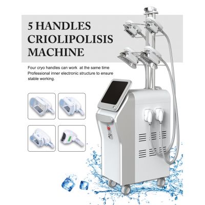 Cryolipolysis Slimming Machine For Beauty Salon CTL80 5S