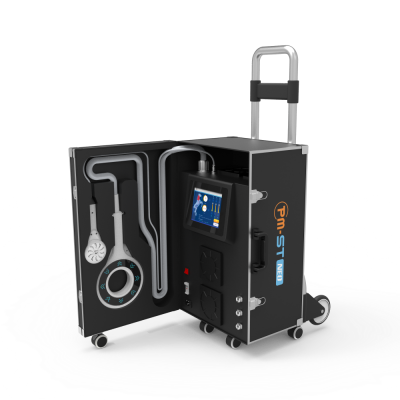 PM-ST VET - MAGNETO THERAPY FOR HORSE