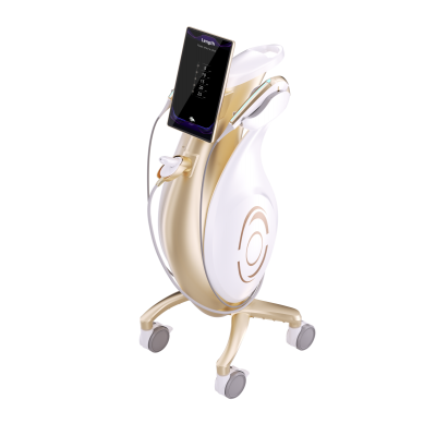 MVS HIFU Machine 3 in 1 Ultrasound EMS RF Facial Beauty Device Wrinkle Removal Anti-aging Fat Reduction